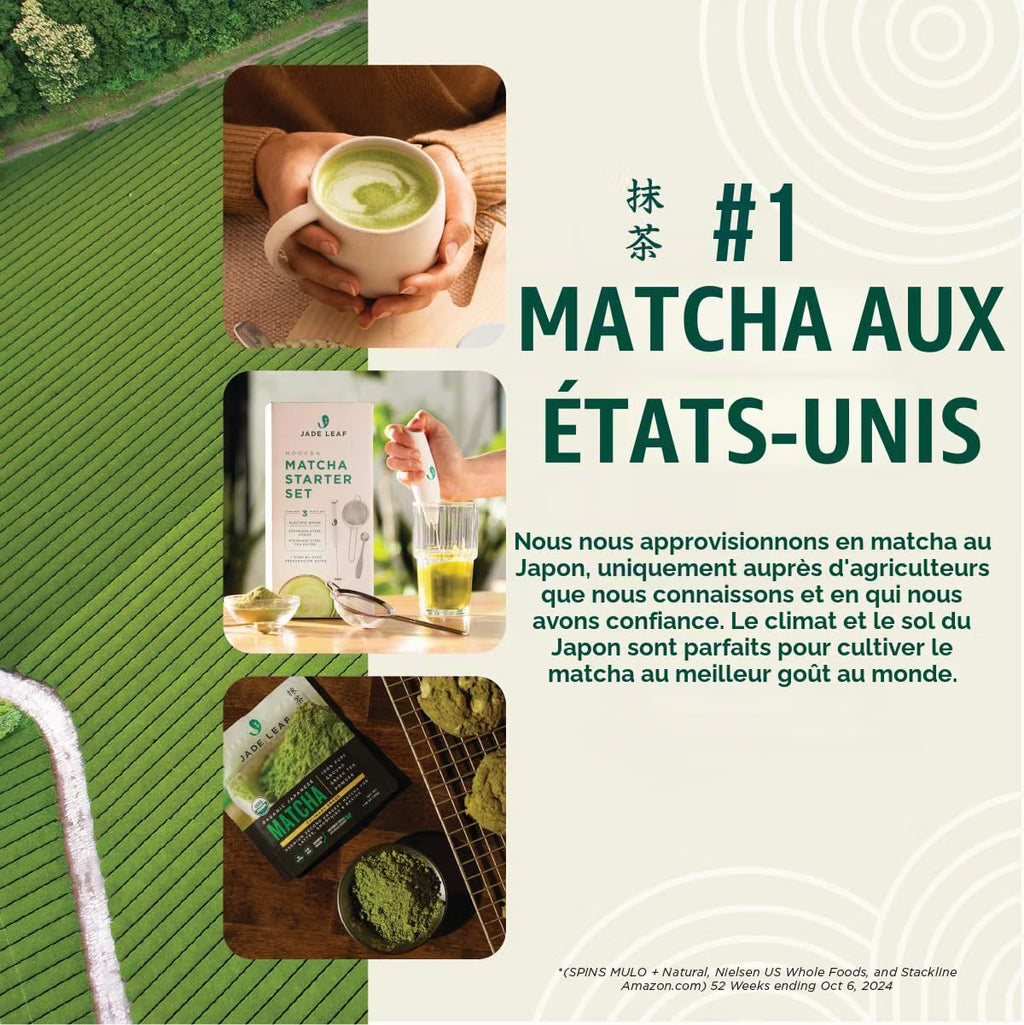 Jade Leaf Poudre de matcha de qualité cérémonielle