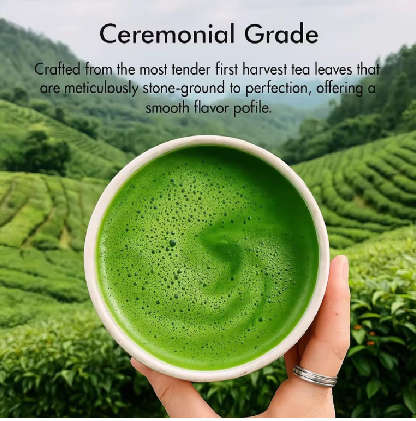 Poudre de thé vert matcha 6A (boîte de 50 g)