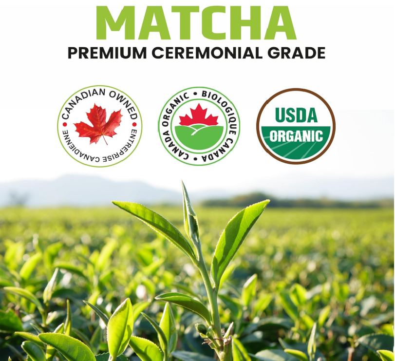 Poudre de thé vert matcha biologique – Qualité cérémoniale – Boîte de 50 g