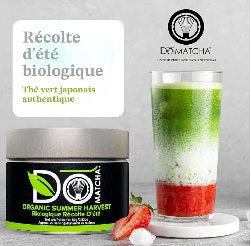 DoMatcha Thé vert, poudre de matcha biologique de récolte d'été, boîte de 80 g