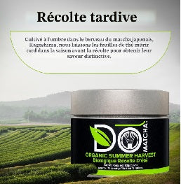 DoMatcha Thé vert, poudre de matcha biologique de récolte d'été, boîte de 80 g
